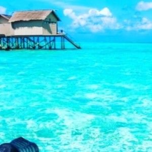 Meet your Posher, Dee